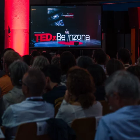 TEDxBellinzona
